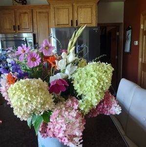 Meet your Posher, Lori